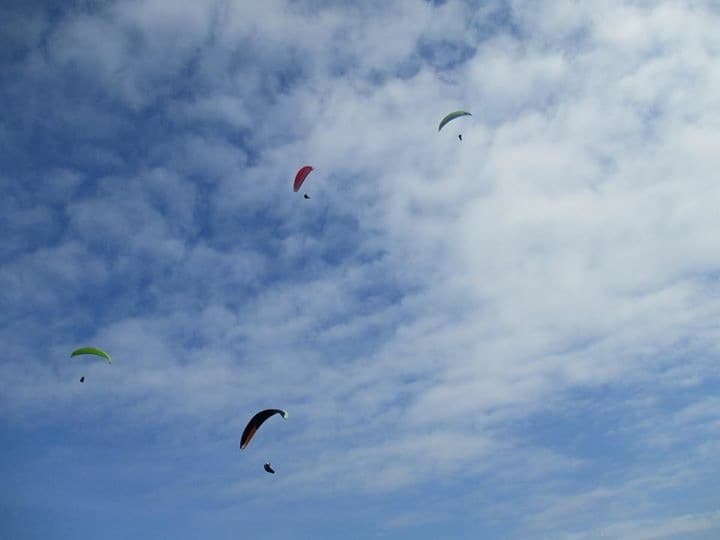 IMG_0559.jpg