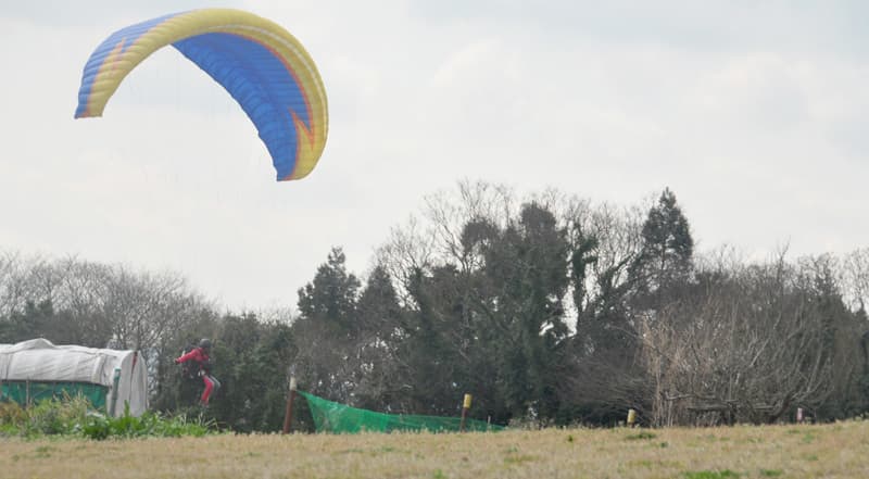 DSC_8708.jpg