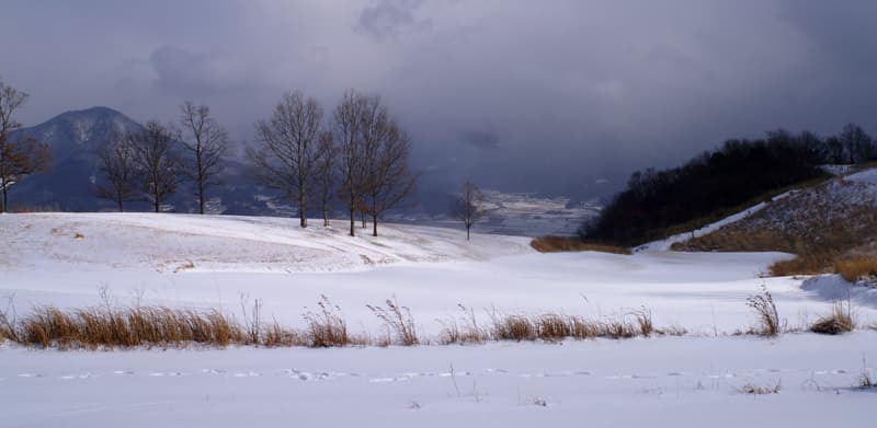 PICT8262.jpg