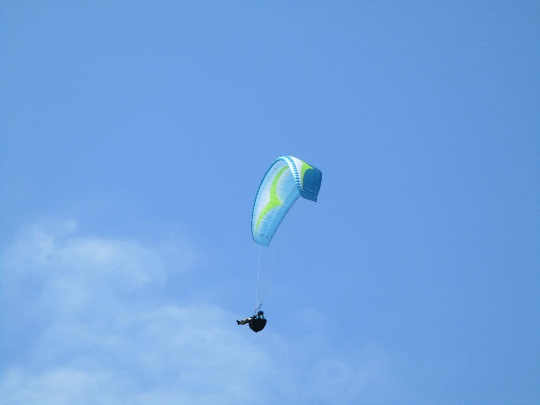 IMG_2241.jpg