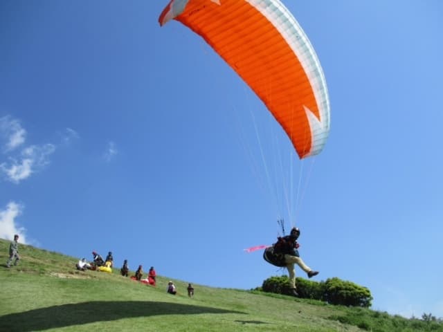 IMG_2242.jpg