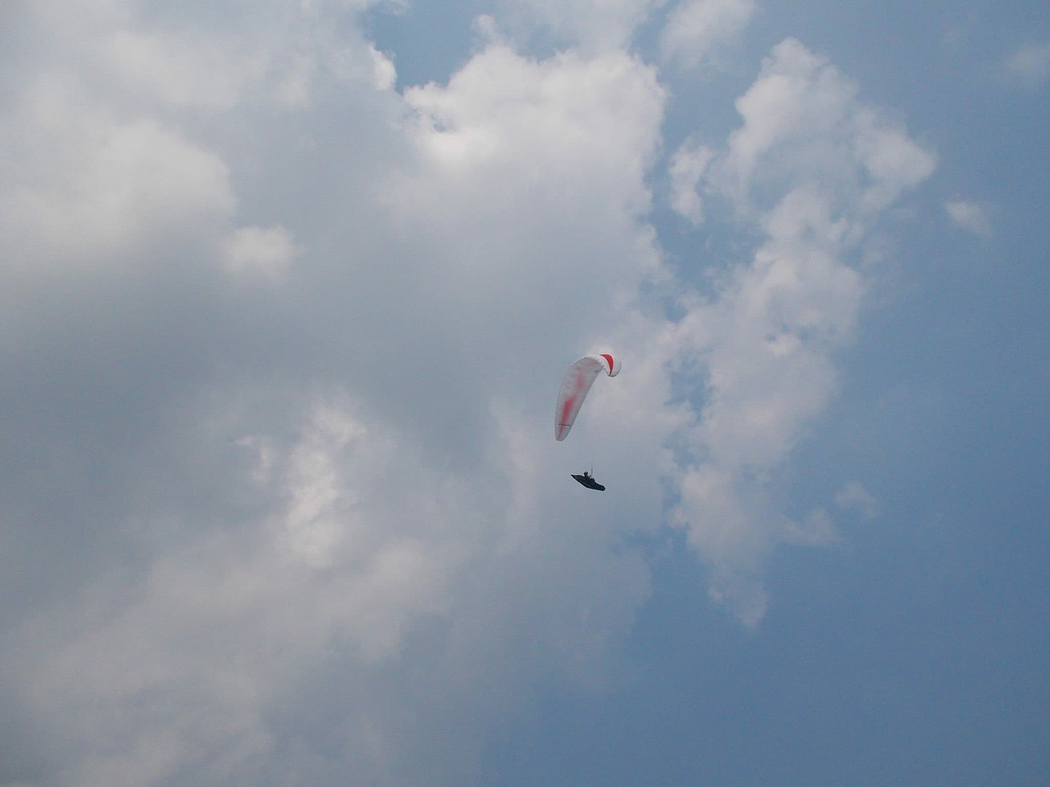 IMG_2513.jpg