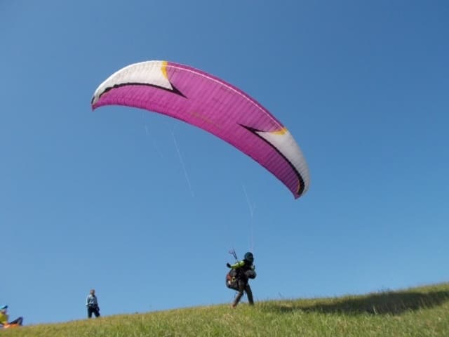 IMG_2751.jpg