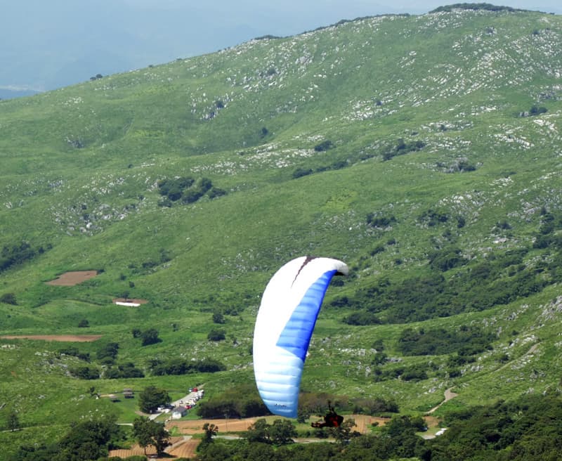 S0056294.jpg