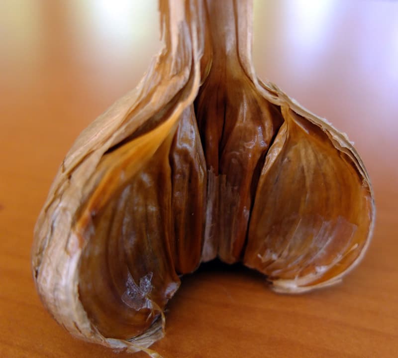 S0146348.jpg