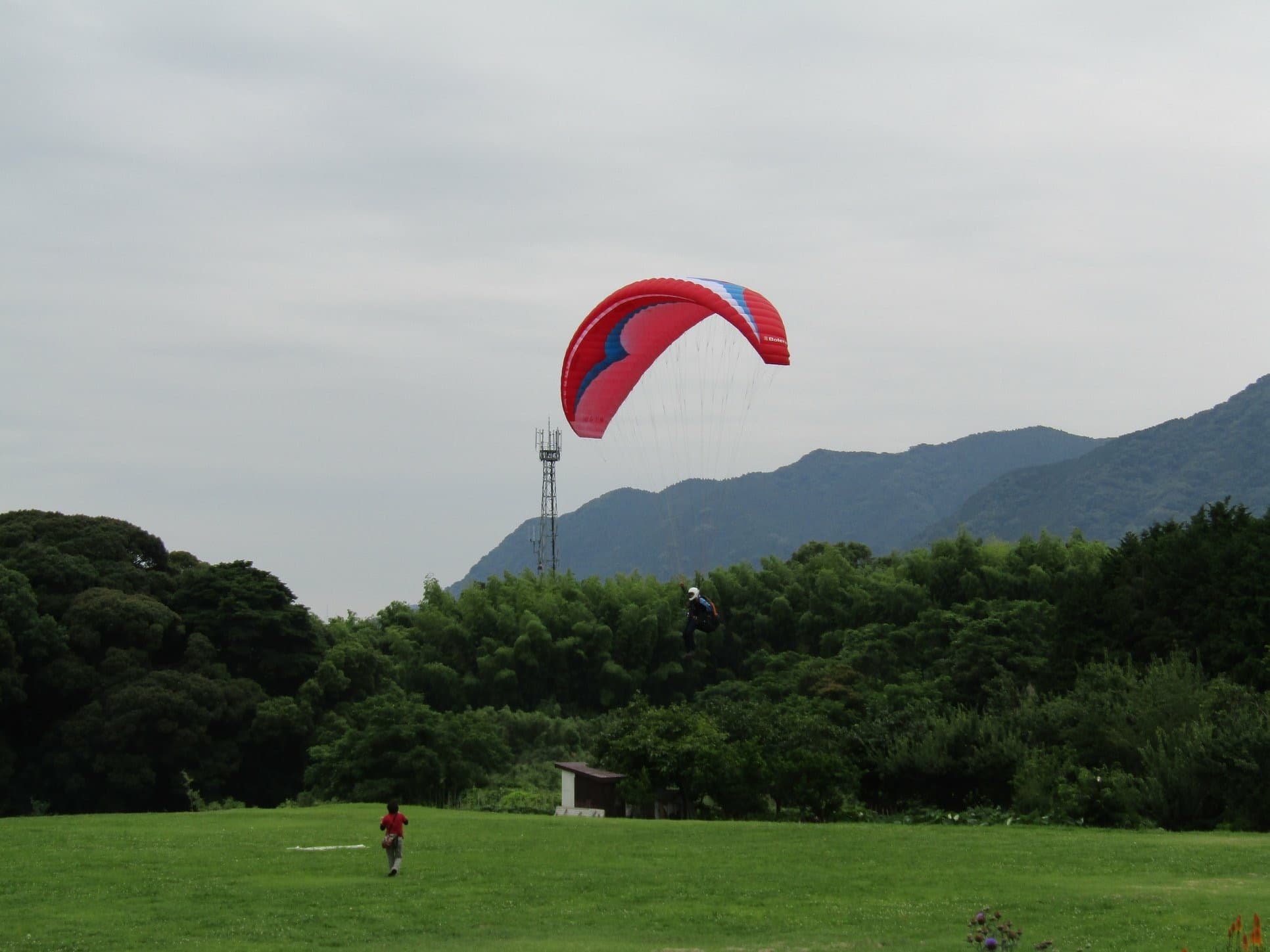 IMG_4601.jpg