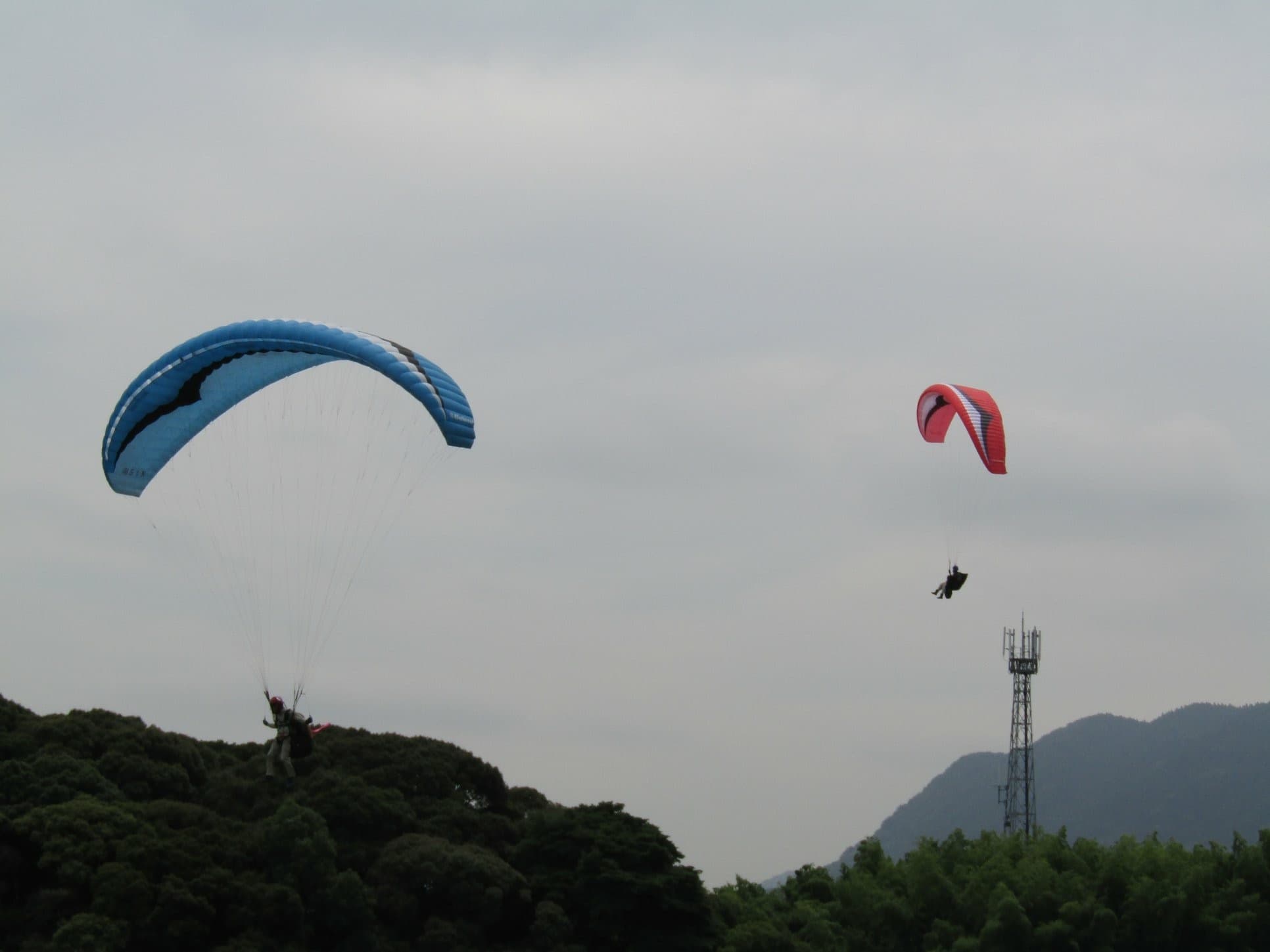 IMG_4736.jpg