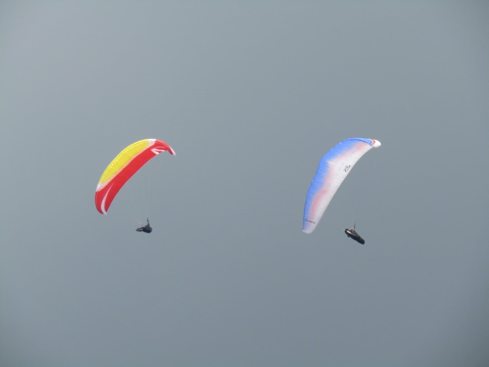IMG_4834.jpg