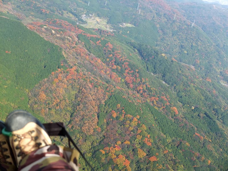 S0026504.jpg