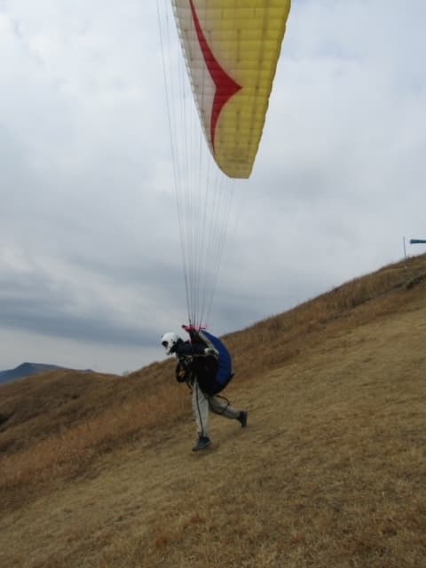 IMG_3729.jpg