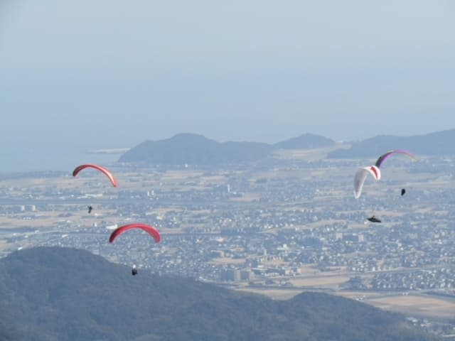 IMG_3733.jpg