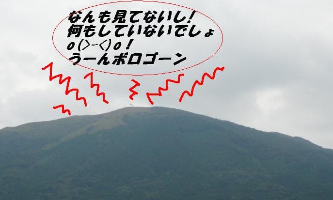 P1070474.jpg