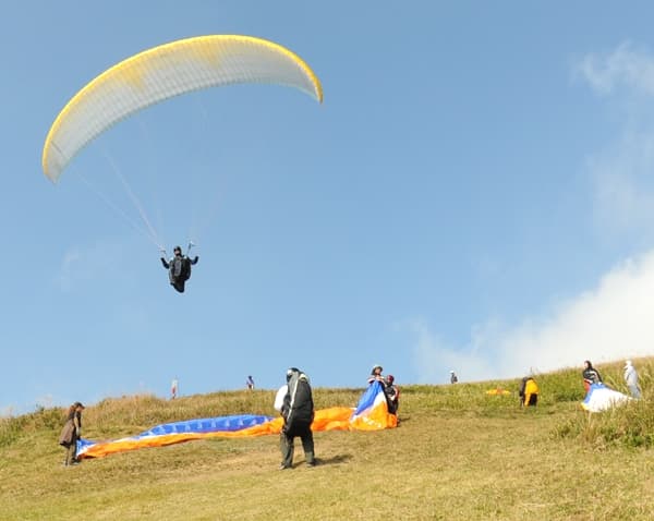 s-DSC_2982.jpg