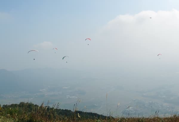 s-DSC_3151.jpg