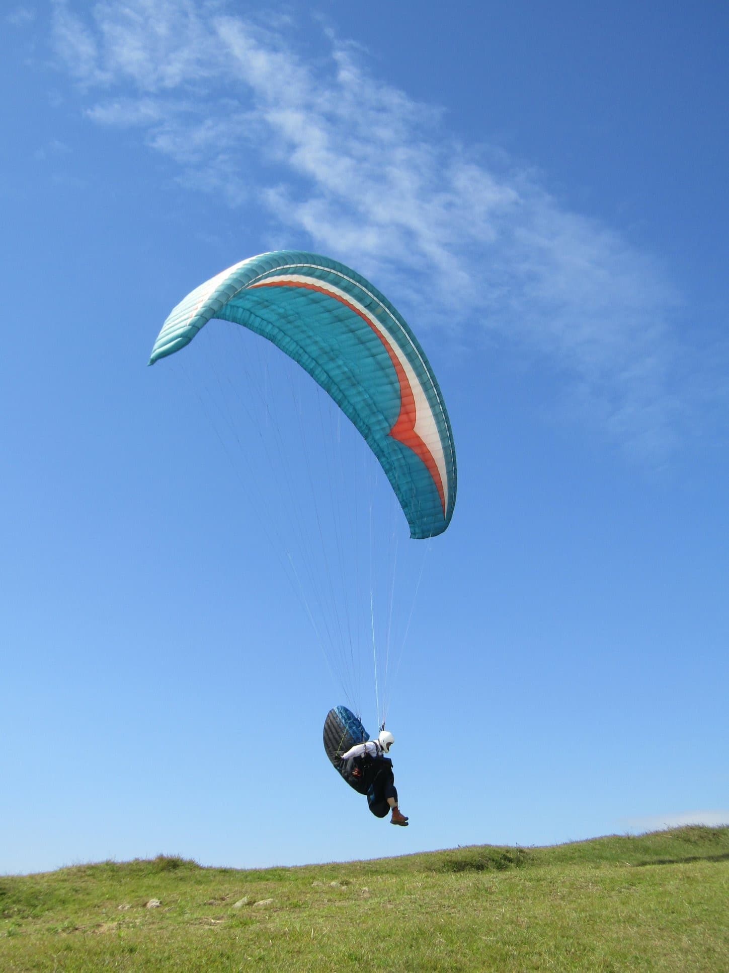 IMG_5005.jpg