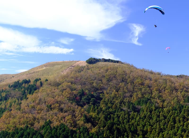 DSCF2630.jpg