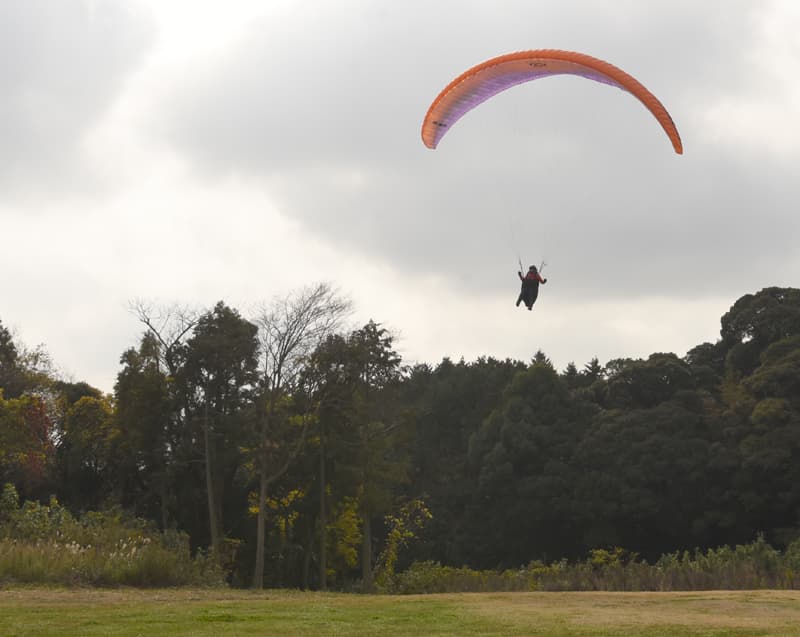 DSC_8956.jpg