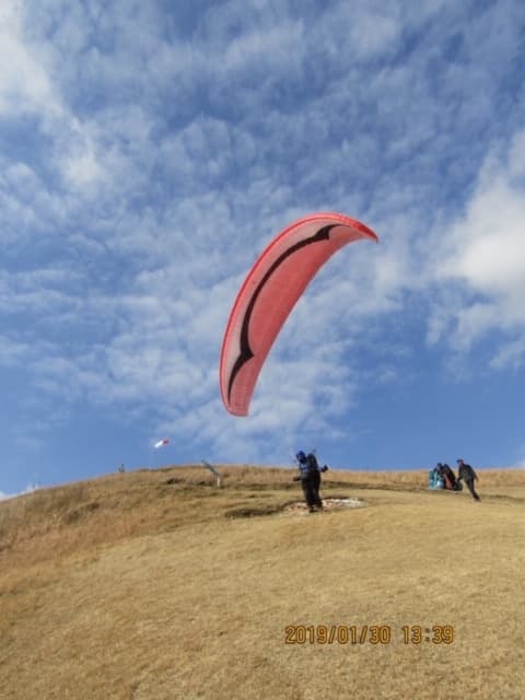 IMG_0134.jpg