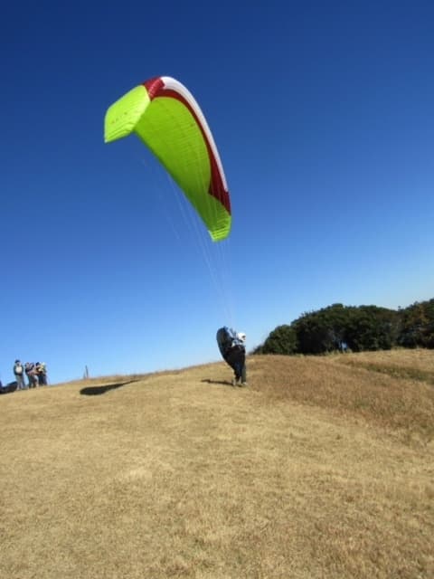 IMG_5528_20181124193012995.jpg