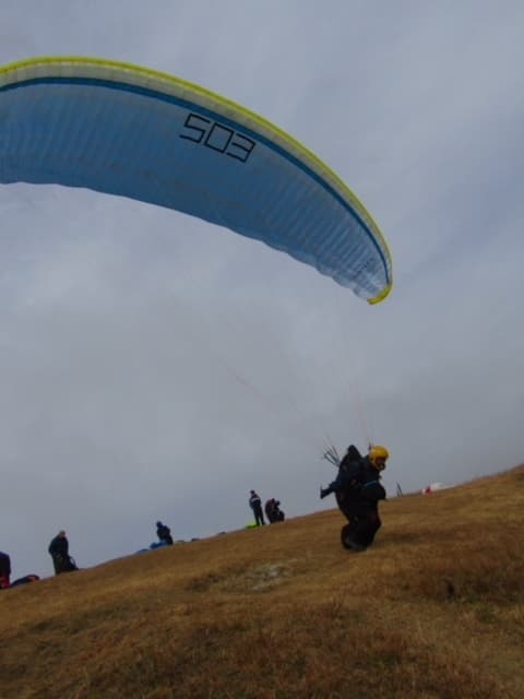 IMG_5537.jpg