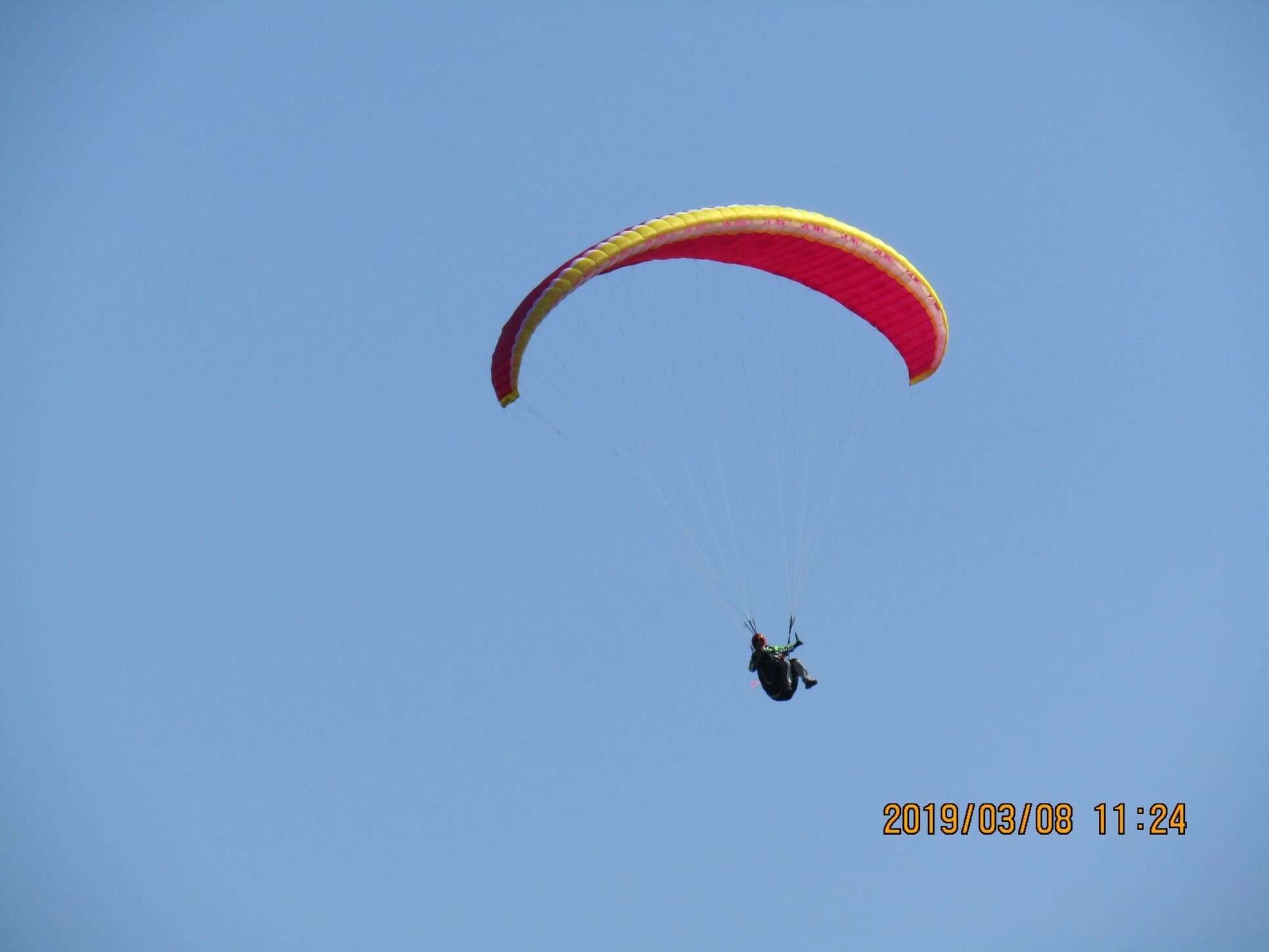 IMG_0448.jpg