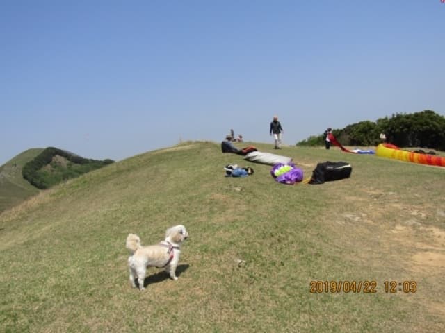 IMG_0773.jpg