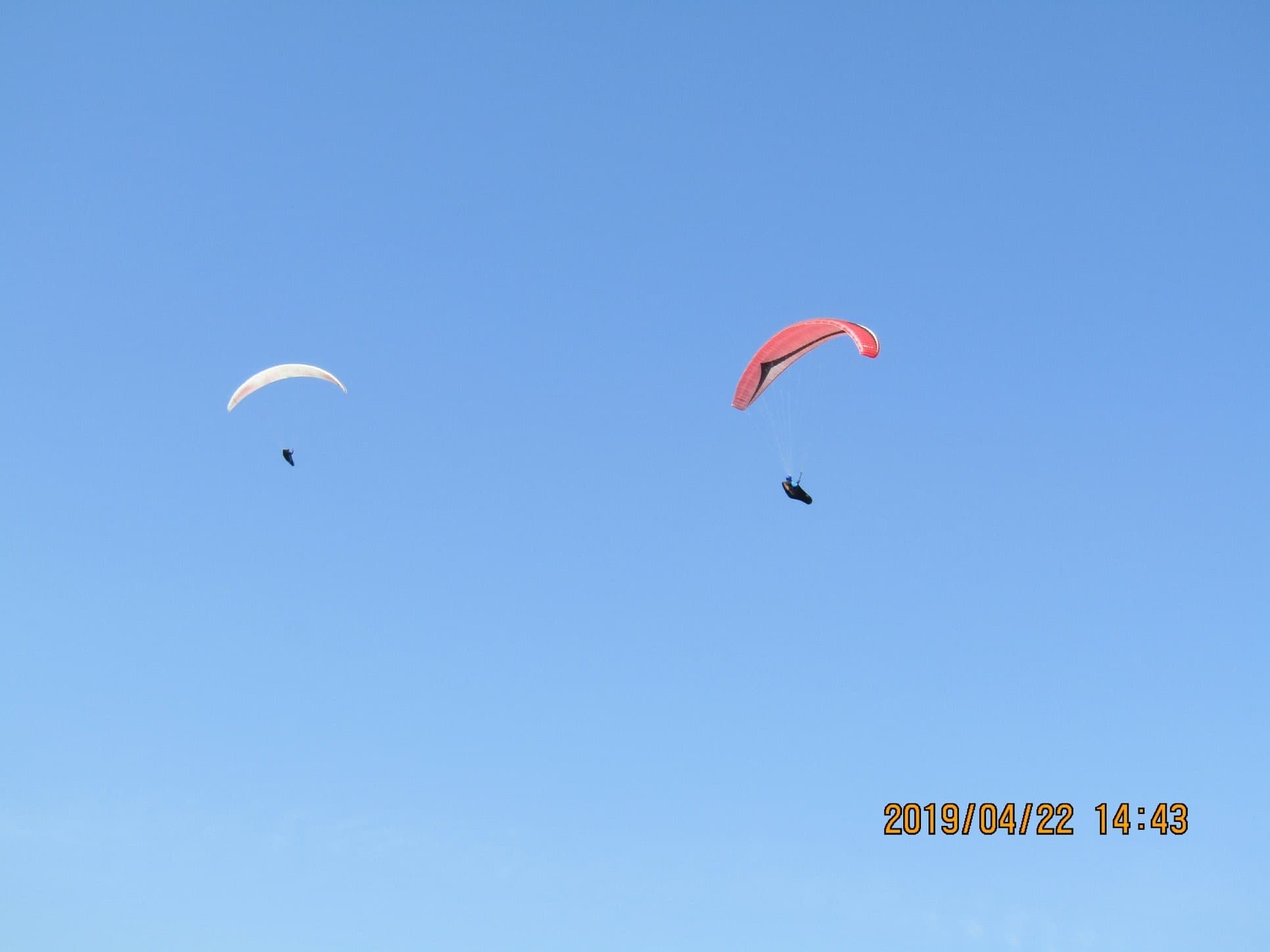 IMG_0774.jpg