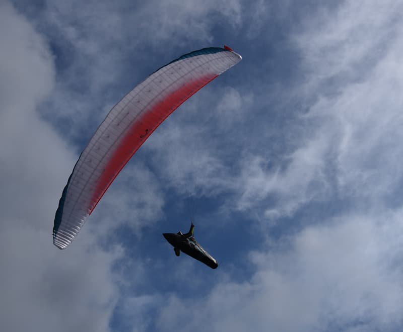 DSC_3693.jpg