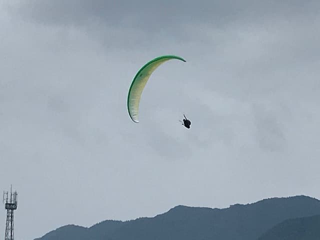 IMG_1480.jpg