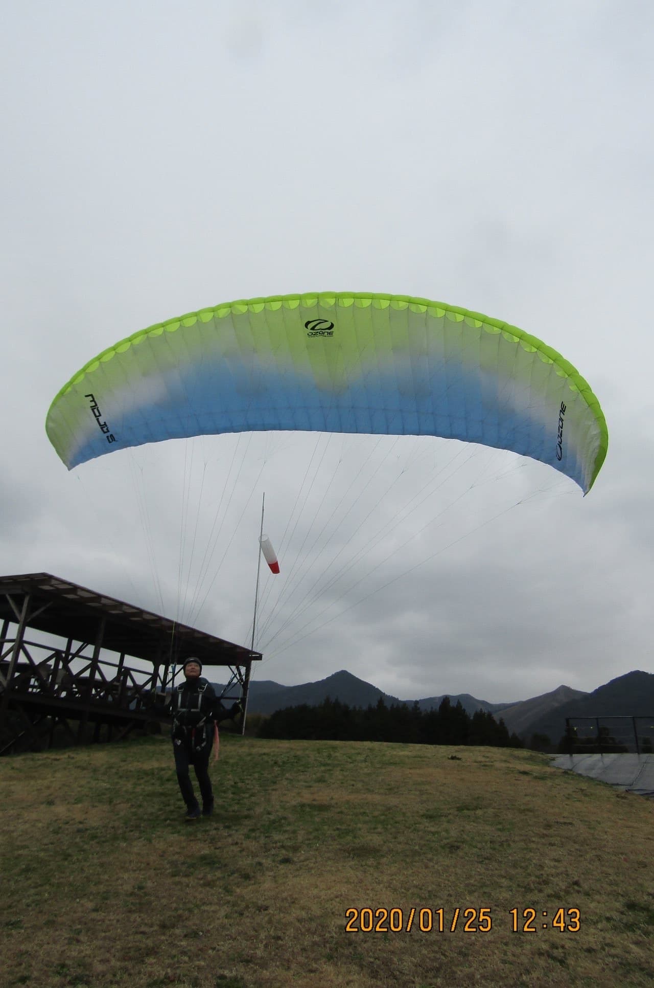 IMG_2347.jpg