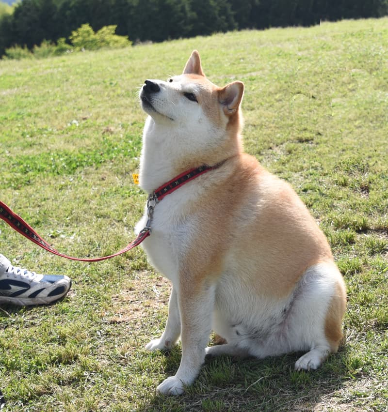 DSC_1677.jpg