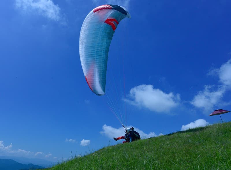DSC_8298.jpg
