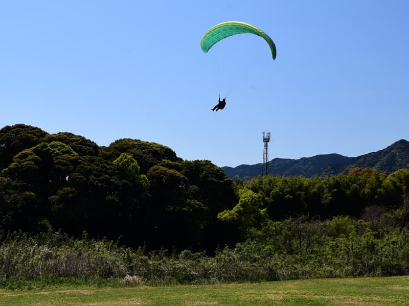 DSC_4279.jpg