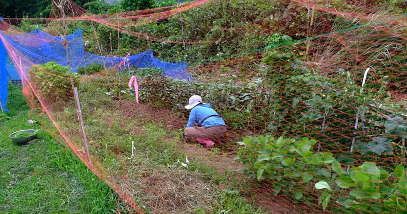 DSCF4318.jpg