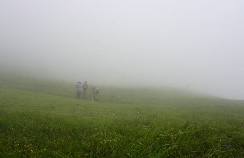 DSC_9837.jpg