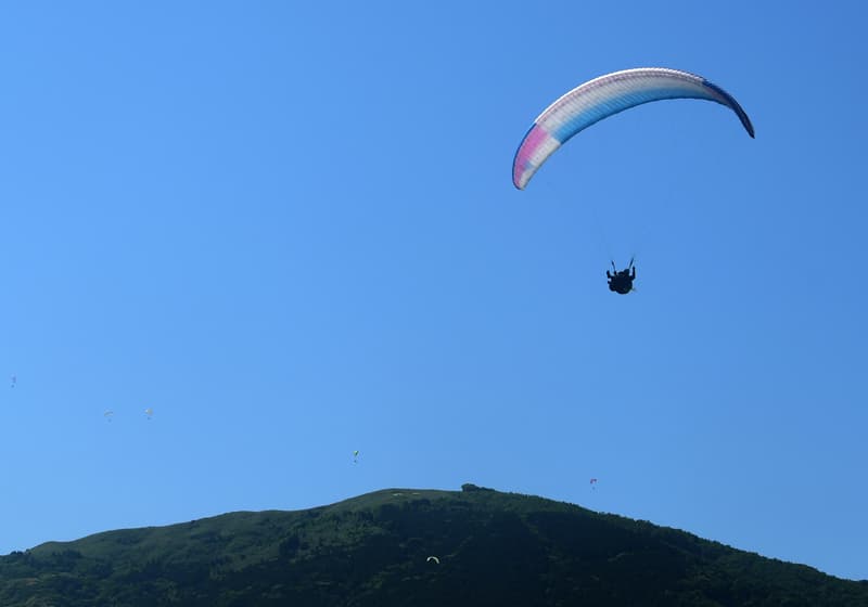 DSC_3264.jpg