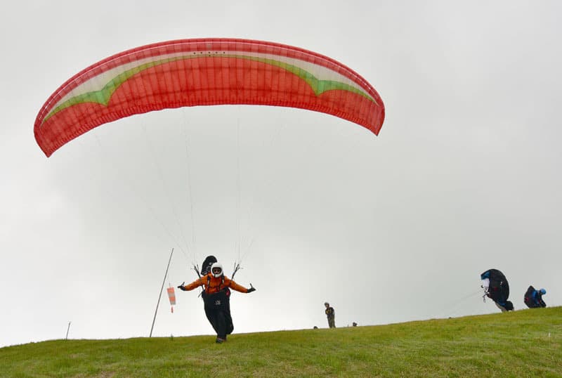 DSC_7893_202206181449289b1.jpg