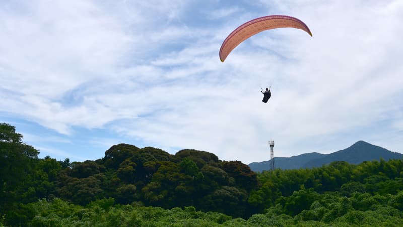 DSC_8227.jpg