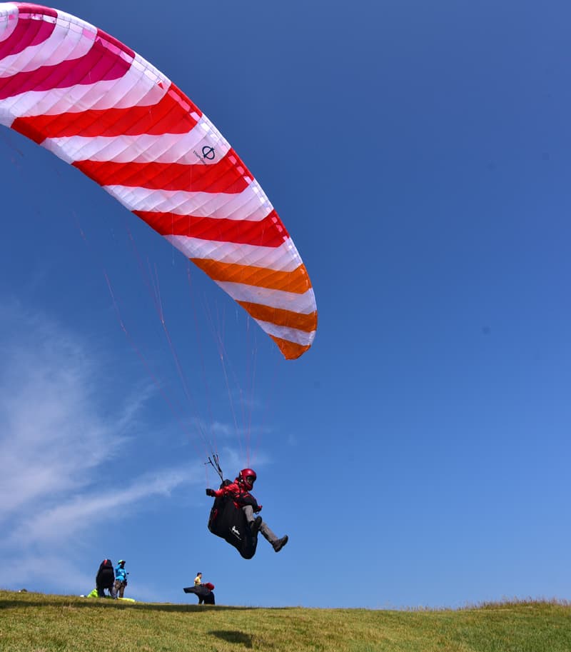 DSC_9739_2022100219284914e.jpg