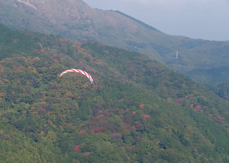 DSCF5008.jpg
