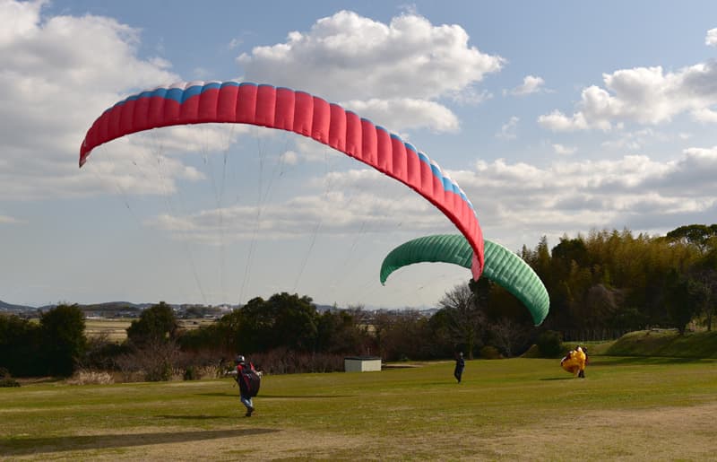 DSC_2251.jpg