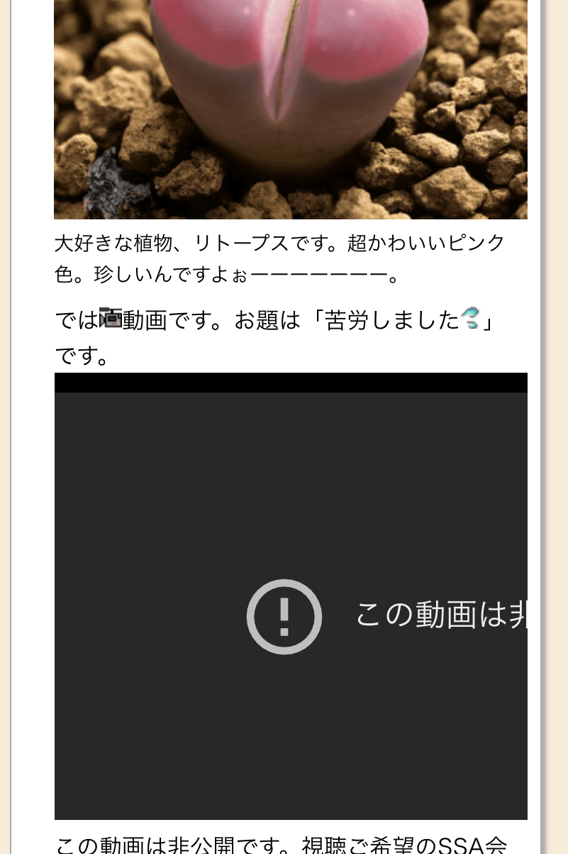 IMG_0762.png