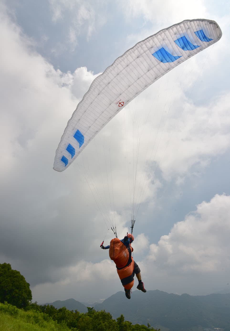 DSC_8064.jpg
