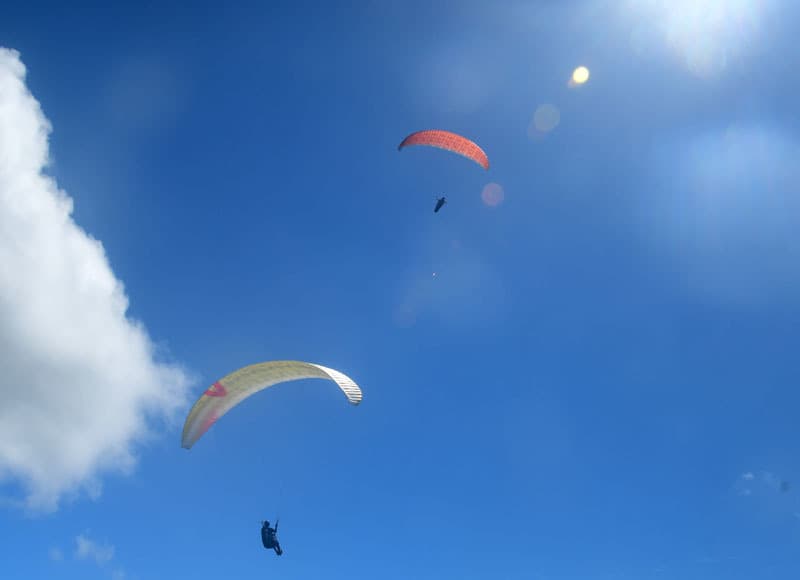 DSC_4810.jpg