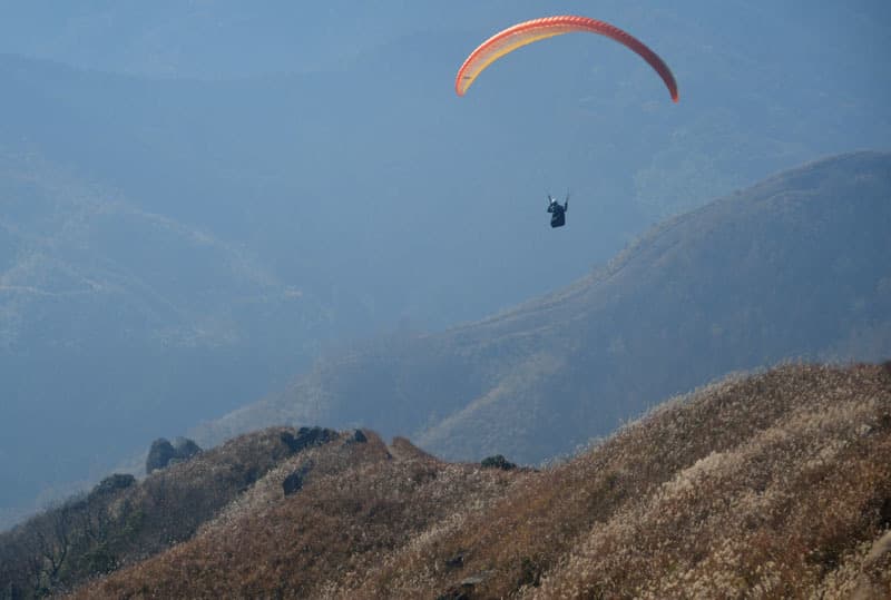 DSC_6206.jpg