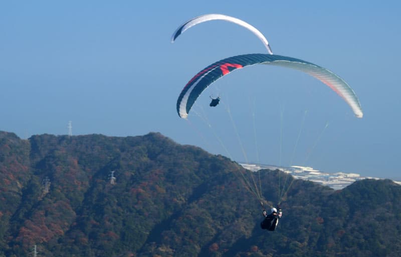 DSC_6354.jpg