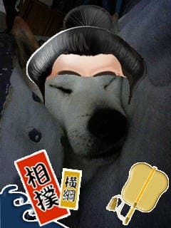 てつ相撲