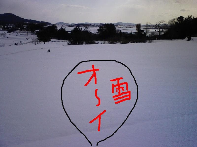 平尾雪