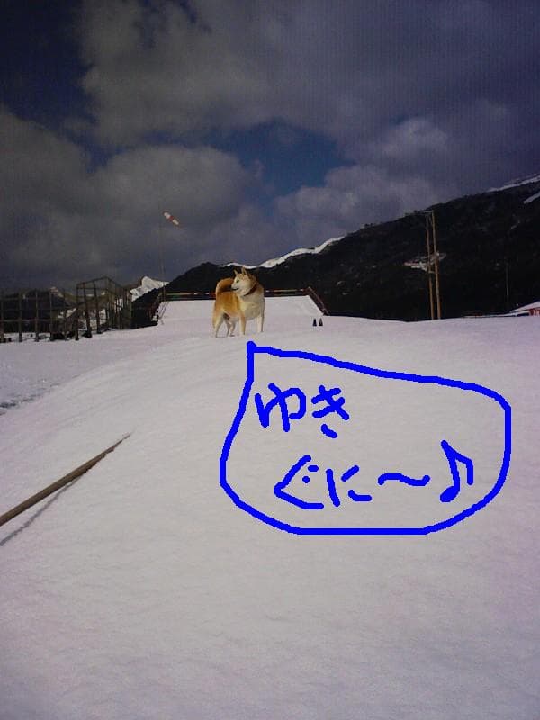 雪とてつ