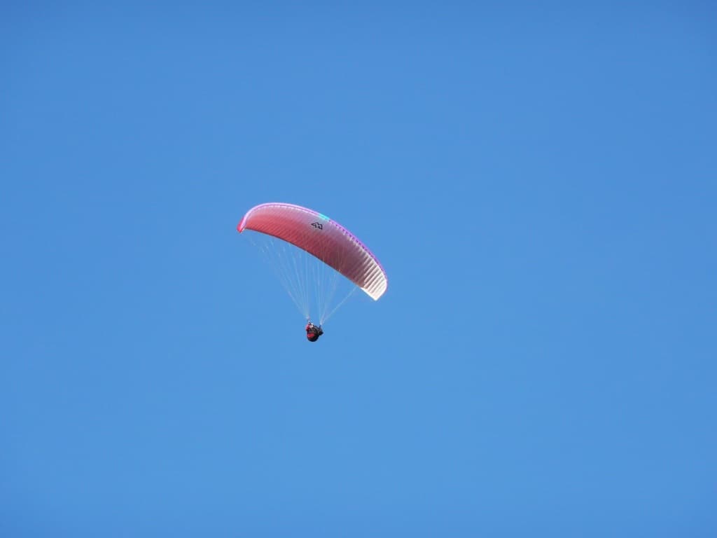 P1000061.jpg